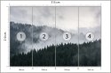 Fototapeta Mglisty Las Sosnowy Fototapeta Mglisty Las Sosnowy