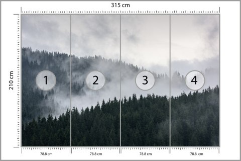 Fototapeta Mglisty Las Sosnowy Fototapeta Mglisty Las Sosnowy