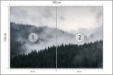 Fototapeta Mglisty Las Sosnowy Fototapeta Mglisty Las Sosnowy