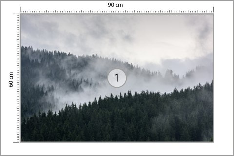Fototapeta Mglisty Las Sosnowy Fototapeta Mglisty Las Sosnowy