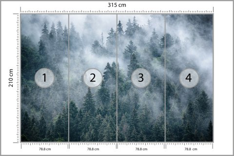 Fototapeta Mglisty Las W Górach Fototapeta Mglisty Las W Górach