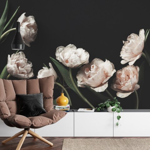 Fototapeta Peonie I Zielone Liście Fototapeta Peonie I Zielone Liście
