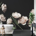 Fototapeta Peonie I Zielone Liście Fototapeta Peonie I Zielone Liście