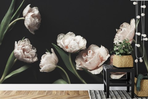 Fototapeta Peonie I Zielone Liście Fototapeta Peonie I Zielone Liście