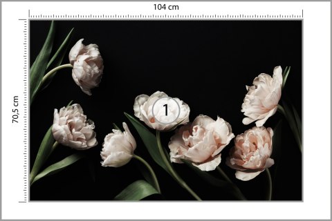 Fototapeta Peonie I Zielone Liście Fototapeta Peonie I Zielone Liście