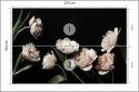 Fototapeta Peonie I Zielone Liście Fototapeta Peonie I Zielone Liście
