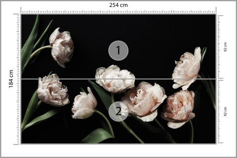 Fototapeta Peonie I Zielone Liście Fototapeta Peonie I Zielone Liście