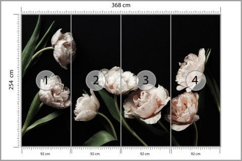 Fototapeta Peonie I Zielone Liście Fototapeta Peonie I Zielone Liście