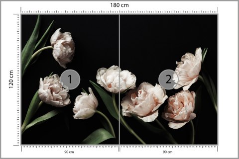 Fototapeta Peonie I Zielone Liście Fototapeta Peonie I Zielone Liście