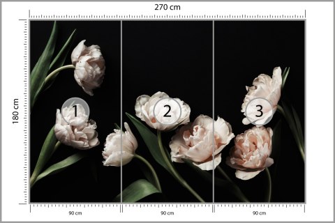 Fototapeta Peonie I Zielone Liście Fototapeta Peonie I Zielone Liście
