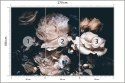 Fototapeta Piwonie W Ciemnej Odsłonie