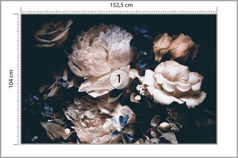 Fototapeta Piwonie W Ciemnej Odsłonie Fototapeta Piwonie W Ciemnej Odsłonie