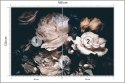 Fototapeta Piwonie W Ciemnej Odsłonie