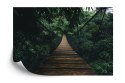 Fototapeta Wiszący Most W Lesie Fototapeta Wiszący Most W Lesie