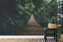 Fototapeta Wiszący Most W Lesie Fototapeta Wiszący Most W Lesie