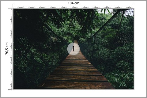 Fototapeta Wiszący Most W Lesie Fototapeta Wiszący Most W Lesie