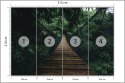 Fototapeta Wiszący Most W Lesie Fototapeta Wiszący Most W Lesie