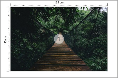Fototapeta Wiszący Most W Lesie Fototapeta Wiszący Most W Lesie