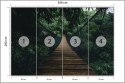 Fototapeta Wiszący Most W Lesie Fototapeta Wiszący Most W Lesie
