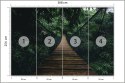 Fototapeta Wiszący Most W Lesie Fototapeta Wiszący Most W Lesie