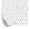 Tapeta Geometryczna - Abstrakcja Tapeta Geometryczna - Abstrakcja