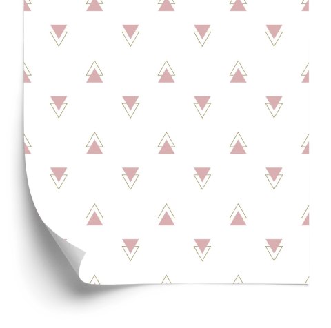 Tapeta Geometryczna - Nowoczesne Minimalistyczne Trójkąty