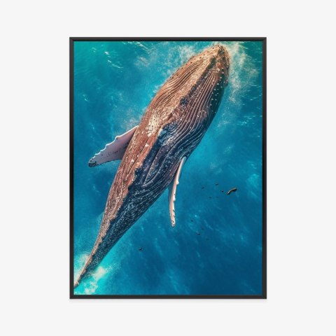 Plakat Wieloczęściowy Wieloryb Pływający W Błękitnym Oceanie Rama Aluminiowa Kolor Czarny