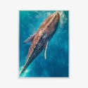 Plakat Wieloczęściowy Wieloryb Pływający W Błękitnym Oceanie Rama Aluminiowa Kolor Czarny