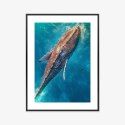 Plakat Wieloczęściowy Wieloryb Pływający W Błękitnym Oceanie Rama Aluminiowa Kolor Czarny