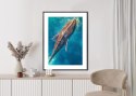 Plakat Wieloczęściowy Wieloryb Pływający W Błękitnym Oceanie Rama Aluminiowa Kolor Czarny