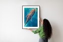 Plakat Wieloczęściowy Wieloryb Pływający W Błękitnym Oceanie Rama Aluminiowa Kolor Czarny
