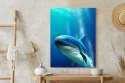 Plakat Wieloczęściowy Wieloryb W Głębi Oceanu Rama Aluminiowa Kolor Czarny