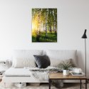 Plakat Wieloczęściowy Wczesny Słoneczny Poranek W Brzozowym Gaju Rama Aluminiowa Kolor Czarny