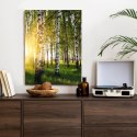 Plakat Wieloczęściowy Wczesny Słoneczny Poranek W Brzozowym Gaju Rama Aluminiowa Kolor Czarny
