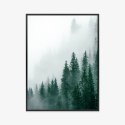 Plakat Wieloczęściowy Unosząca Się Gęsta Mgła Nad Lasem Sosnowym Rama Aluminiowa Kolor Czarny