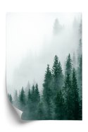 Plakat Wieloczęściowy Unosząca Się Gęsta Mgła Nad Lasem Sosnowym Rama Aluminiowa Kolor Czarny
