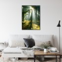 Plakat Wieloczęściowy Zielony Las W Słoneczny Poranek Rama Aluminiowa Kolor Czarny