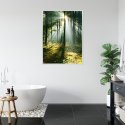 Plakat Wieloczęściowy Zielony Las W Słoneczny Poranek Rama Aluminiowa Kolor Czarny