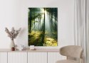 Plakat Wieloczęściowy Zielony Las W Słoneczny Poranek Rama Aluminiowa Kolor Czarny