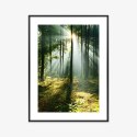 Plakat Wieloczęściowy Zielony Las W Słoneczny Poranek Rama Aluminiowa Kolor Czarny