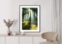 Plakat Wieloczęściowy Zielony Las W Słoneczny Poranek Rama Aluminiowa Kolor Czarny