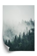 Plakat Wieloczęściowy Zielone Drzewa Iglaste Na Górskich Wzgórzach We Mgle Rama Aluminiowa Kolor Czarny