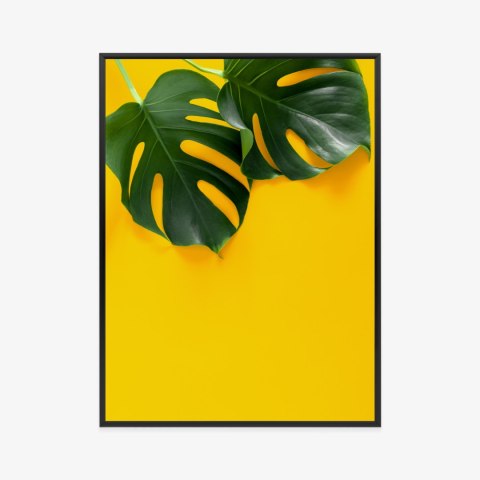 Plakat Wieloczęściowy Wielkie Liście Monstery Rama Aluminiowa Kolor Czarny Plakat Wieloczęściowy Wielkie Liście Monstery Rama Aluminiowa Kolor Czarny
