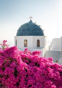 Plakat Wieloczęściowy Typowa Architektura Santorini I Kwitnąca Bugenwilla Rama Drewniana Z Passe-Partout Kolor Naturalny