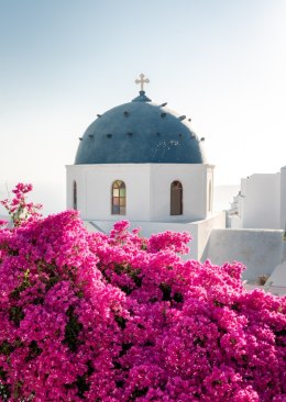 Plakat Wieloczęściowy Typowa Architektura Santorini I Kwitnąca Bugenwilla Rama Drewniana Z Passe-Partout Kolor Naturalny