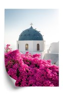 Plakat Wieloczęściowy Typowa Architektura Santorini I Kwitnąca Bugenwilla Rama Drewniana Z Passe-Partout Kolor Naturalny