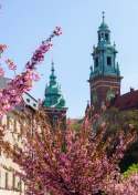 Plakat Wieloczęściowy Wieże Katedry Wawelu Kraków Rama Drewniana Z Passe-Partout Kolor Naturalny