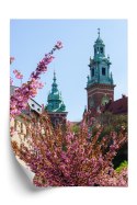 Plakat Wieloczęściowy Wieże Katedry Wawelu Kraków Rama Drewniana Z Passe-Partout Kolor Naturalny