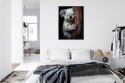 Plakat Wieloczęściowy Miś Koala Obejmujący Drzewo Rama Aluminiowa Kolor Czarny