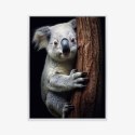 Plakat Wieloczęściowy Miś Koala Obejmujący Drzewo Rama Aluminiowa Kolor Czarny
